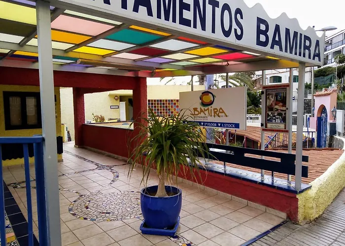 Bougainvillea Bamira *